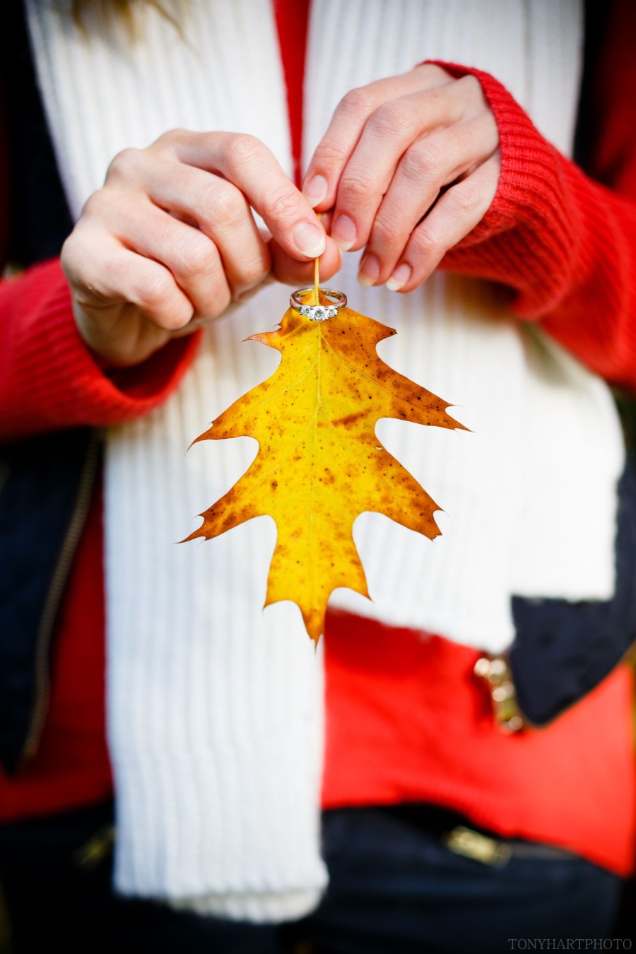 botleys_manor_engagement_shoot-011