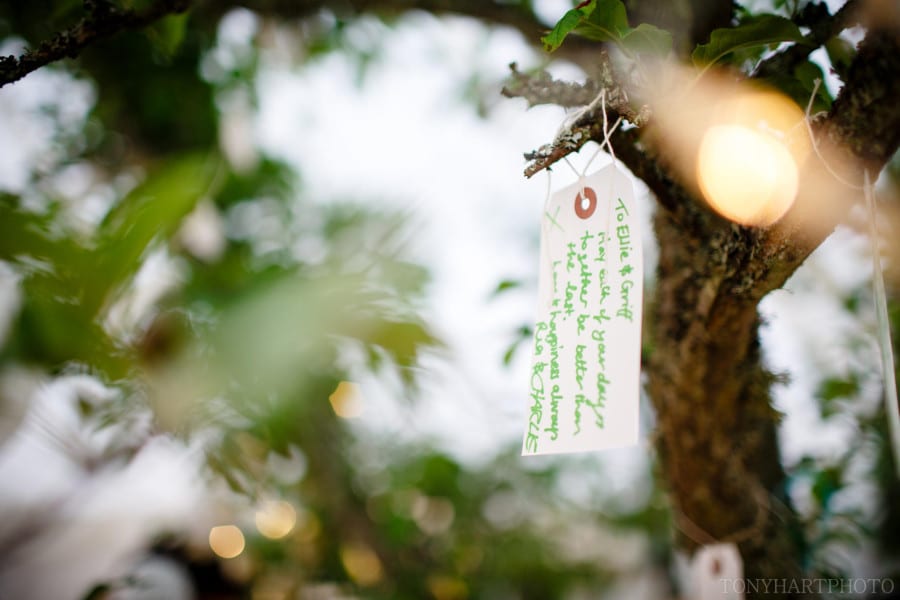 shamley_green_wedding_et-057