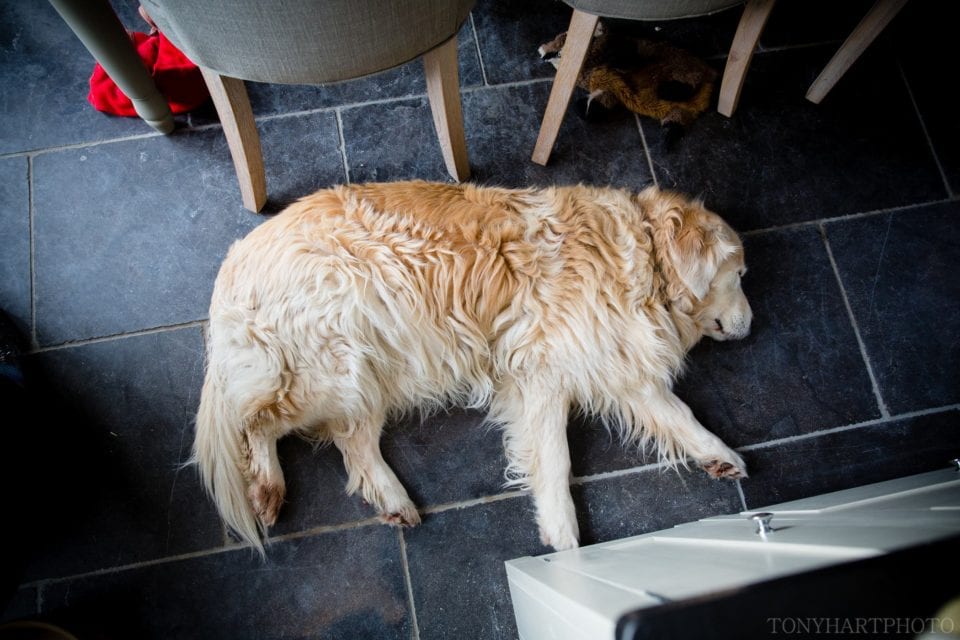 cain_manor_wedding_sm-015