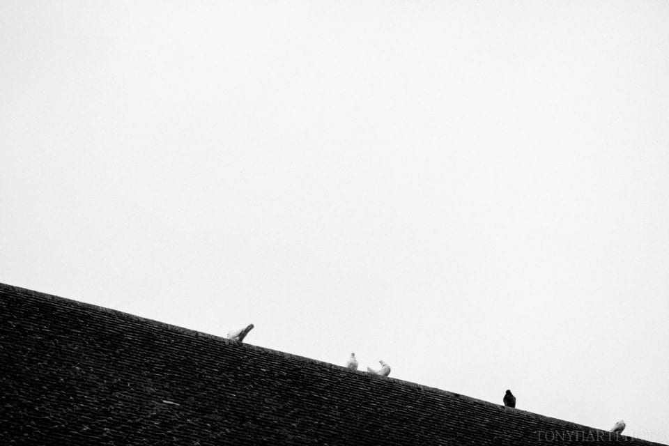 cain_manor_wedding_sm-028