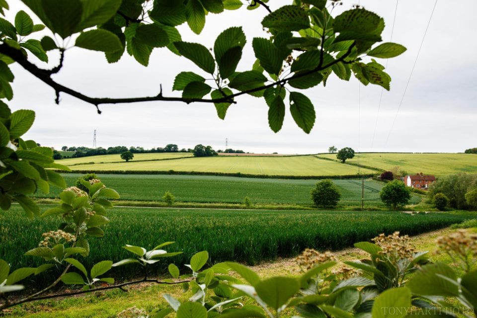 The view from Bury Court Barn