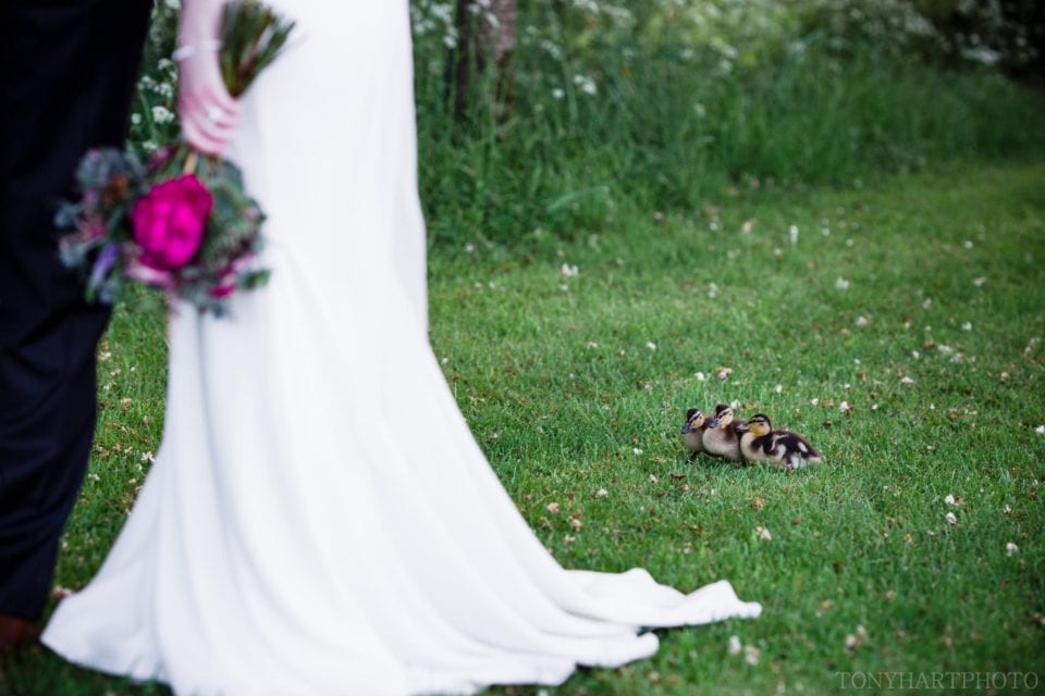 Bridal portrait