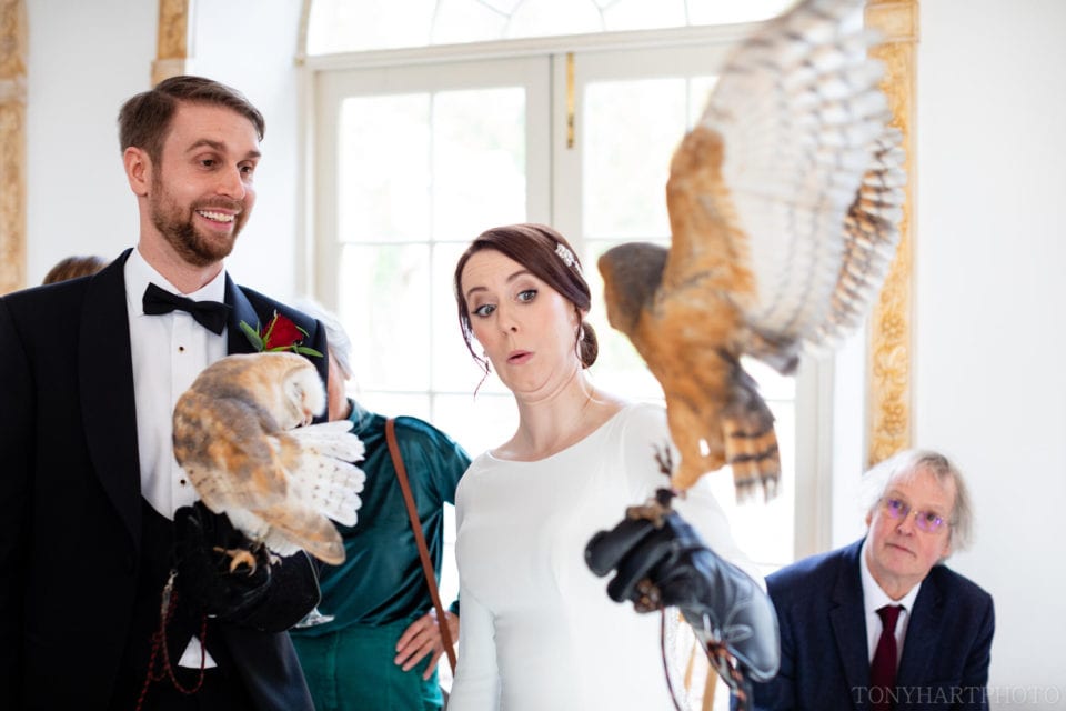 Barn owl tries to make a break for it during a Northbrook Park wedding